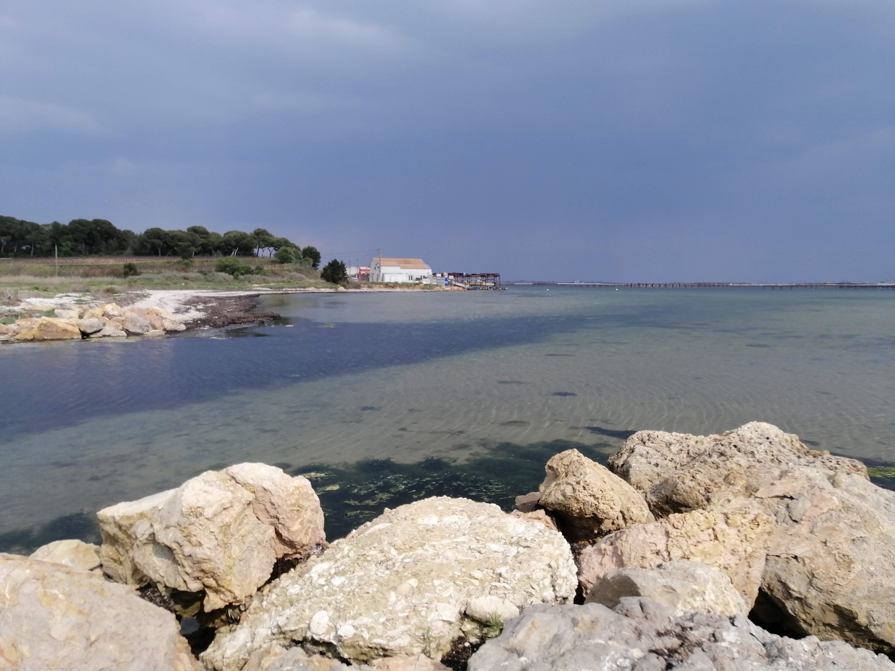 Eau claire et rochers au bord du bassin de Thau