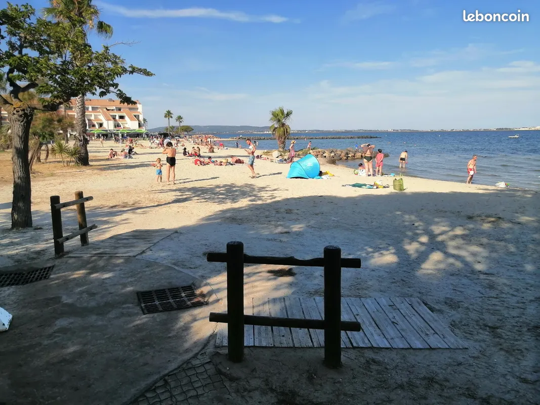 Plage de Mèze avec sable, palmiers et baignade